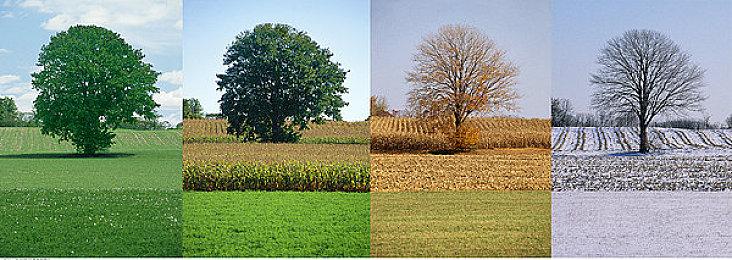 索尼PlayStation确认不会参加今年的科隆展