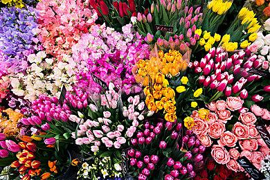 免费狼人杀《鹅鸭杀》突然走红 Steam在线玩家峰值突破30万